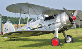 Gloster gladiator survivors part 2